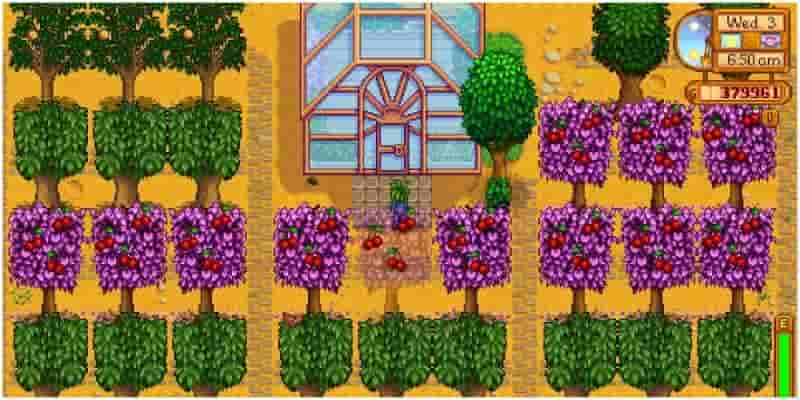 12 вещей, которые вы не знали, что можно сделать в поздней игре в Stardew Valley