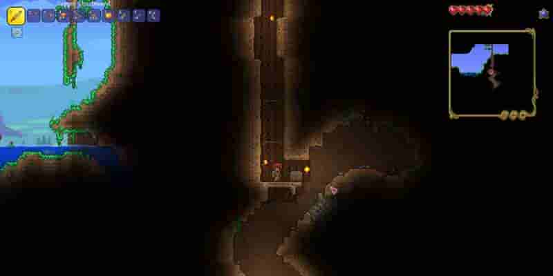 Лучшие семена Terraria