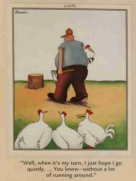 10 самых странных комиксов Far Side о людях и животных