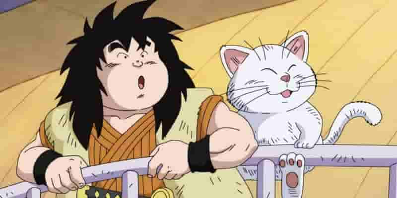 Бессмысленные корабли Dragon Ball
