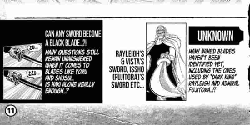 One Piece: What Is Black Blades?