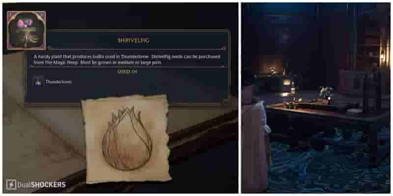 Hogwarts Legacy: гайд по местонахождению фруктов смородины