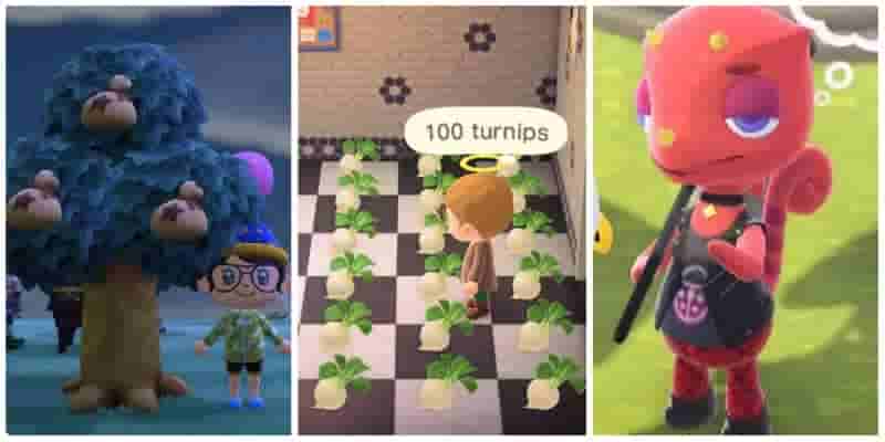 10 самых быстрых способов заработать деньги в Animal Crossing: новые горизонты
