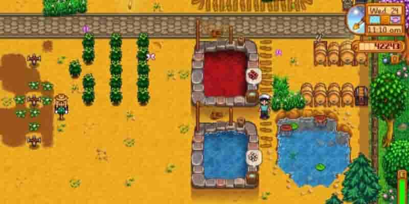 Stardew Valley: как получить все мощные книги