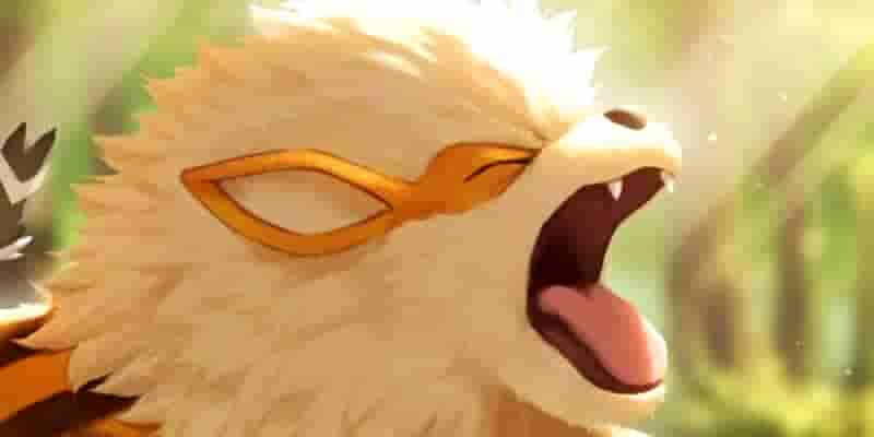 Все, что мы знаем о коллекционной карточной игре Pokémon Карман для игры (на данный момент)