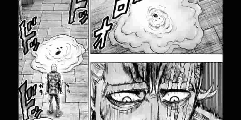 10 самых больших различий между мангой One-Punch Man и веб-комиксом