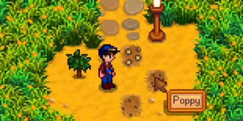 Типы MBTI жителей деревни Stardew Valley