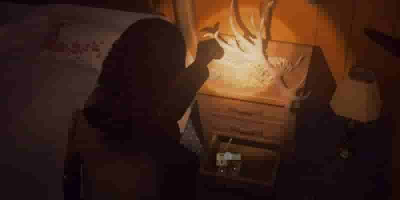 Alan Wake 2: Расположение головы оленя и скрытая награда