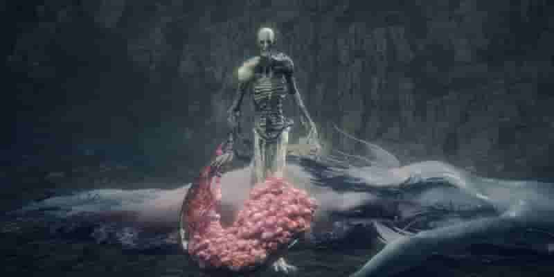 10 самых сложных боссов Soulsborne