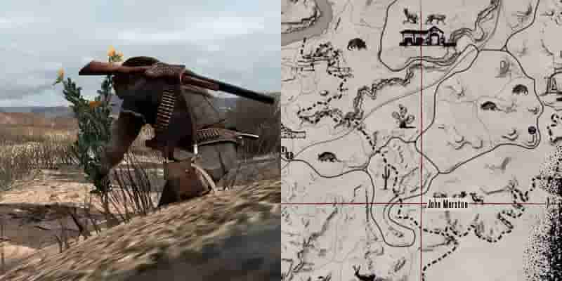 Red Dead Redemption: Полное гайд по выживанию