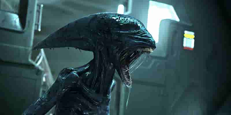 Каждая сцена с Chestbreaker из фильмов Alien, Рейтинг