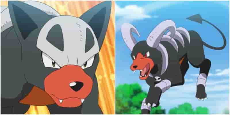 Эксклюзивная версия Pok&eacute;mon in Black для каждой версии