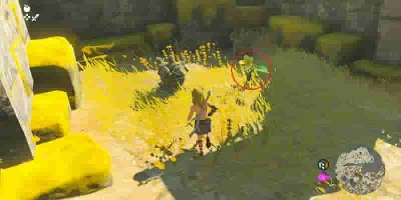 Tears Of The Kingdom: Все Korok Seeds on Great Sky Island
