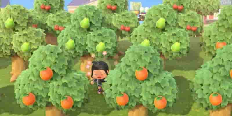 10 самых быстрых способов Зарабатывайте деньги в Animal Crossing: New Horizons