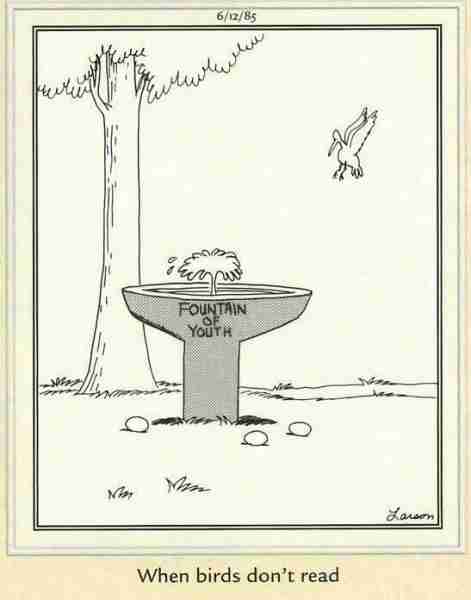 10 лучших комиксов The Far Side о мифах и легендах, рейтинг