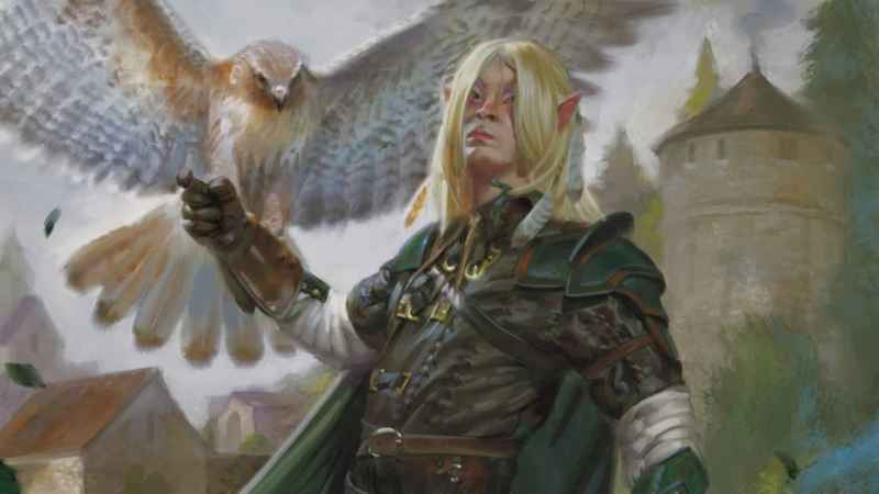 D&D: Лучшие классы для каждого вида