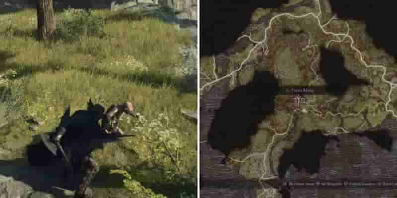 Dragon's Dogma 2: Как использовать оникс