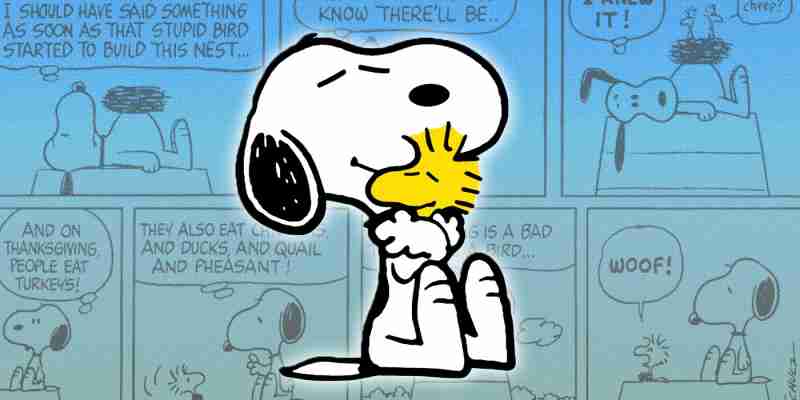 10 лучших комиксов Woodstock Peanuts, рейтинг