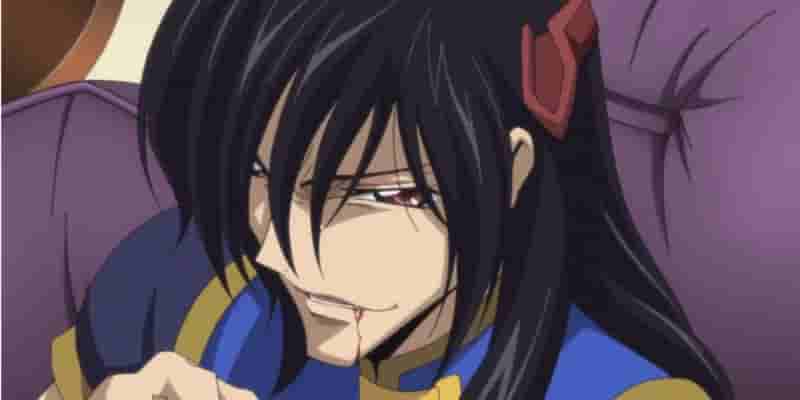 Самые подходящие мужья Code Geass, рейтинг