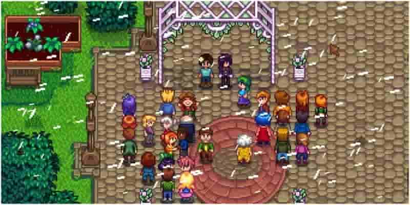 Как подружиться и завязать роман с Себастьяном в Stardew Valley