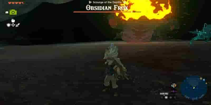 Tears of the Kingdom: Frox Locations Гайд
