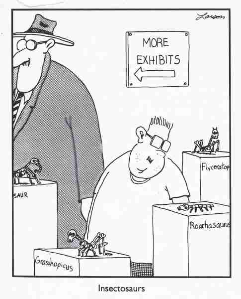 10 лучших комиксов The Far Side с участием насекомых, рейтинг