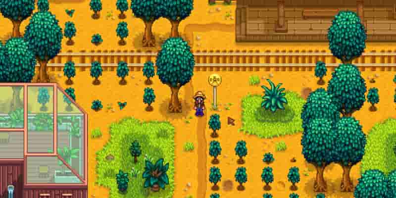 Типы MBTI жителей деревни Stardew Valley