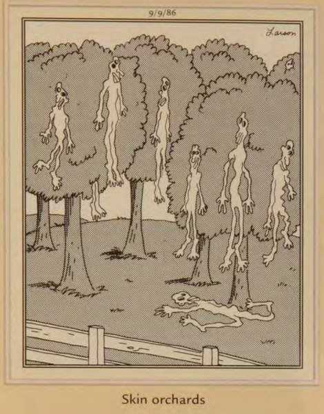10 панелей комиксов «The Far Side», которые не давали покоя фанатам