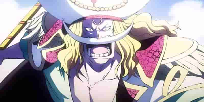 One Piece: 15 самых высоких наград за всю серию