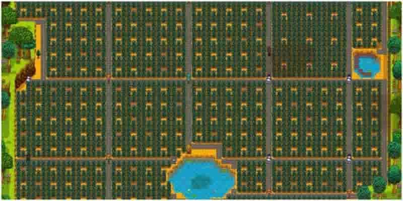 12 вещей, которые вы не знали, что можно сделать в поздней игре в Stardew Valley