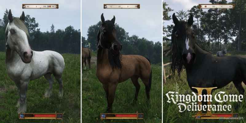Kingdom Come: Deliverance 2: 6 лучших лошадей для ранней игры