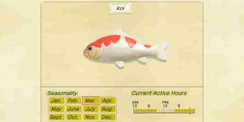 Как поймать всю рыбу в Animal Crossing: New Horizons