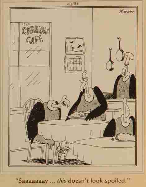 10 лучших комиксов The Far Side с участием стервятников, рейтинг