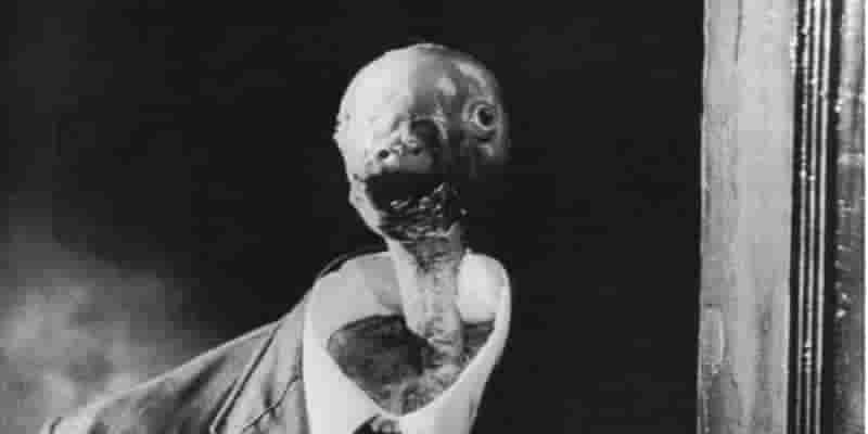 10 Most Bizarre Cult Classics