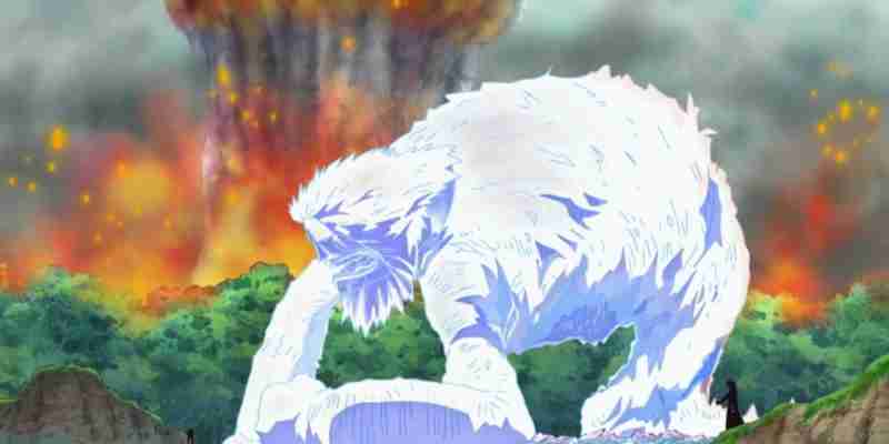 Самые симпатичные морпехи в One Piece, рейтинг