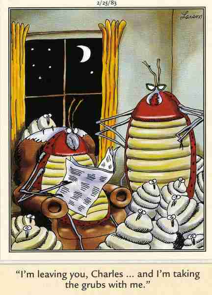 10 лучших комиксов Far Side с насекомыми, рейтинг