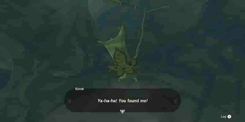 Tears Of The Kingdom: Все Korok Seeds on Great Sky Island