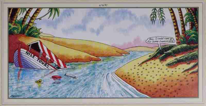 10 самых смешных комиксов Far Side о неудачных каникулах