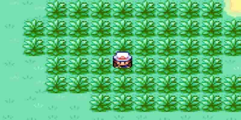 Новый DLC Pok&eacute;mon может дать поколению IX зону сафари