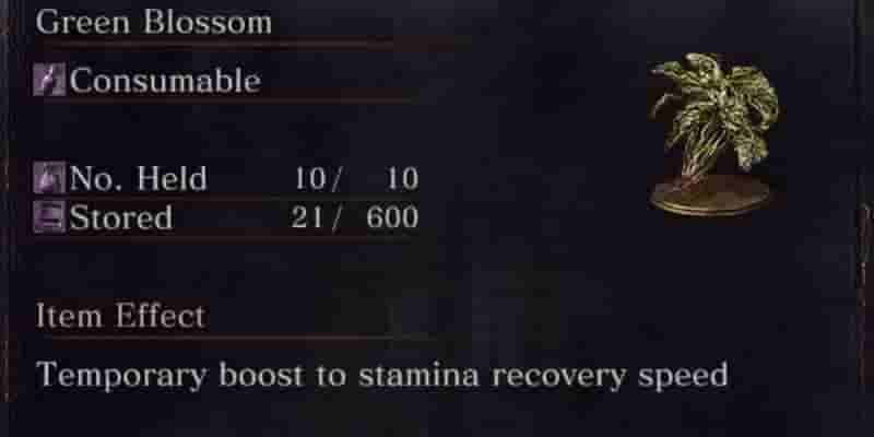 Dark Souls 3: 10 лучших расходных материалов в рейтинге