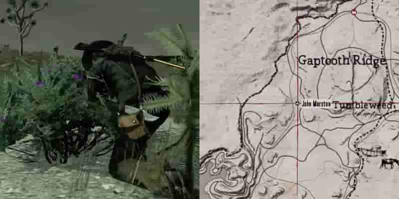 Red Dead Redemption: Полное гайд по выживанию