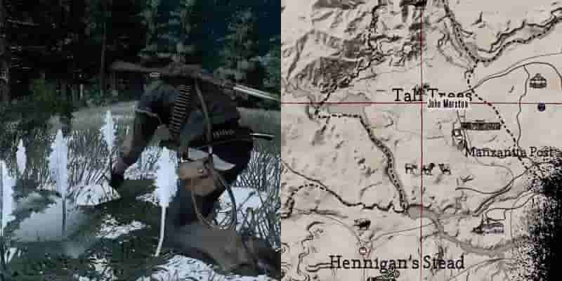 Red Dead Redemption: Полное гайд по выживанию