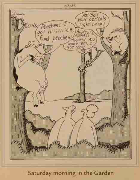 10 самых странных комиксов Far Side о людях и животных