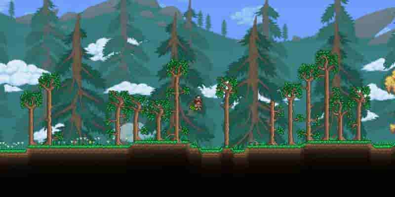 Лучшая Terraria Семена