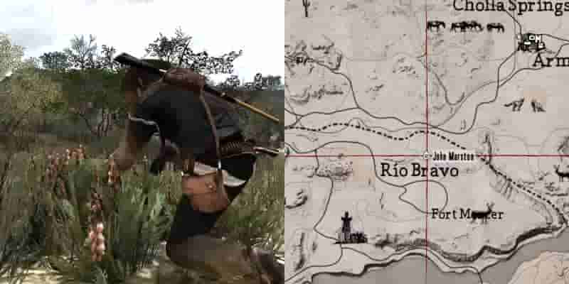 Red Dead Redemption: Полное гайд по выживанию