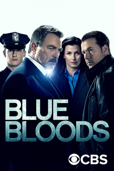 Обзор 17 серии 14 сезона сериала «Голубая кровь»: тихая прелюдия к финалу