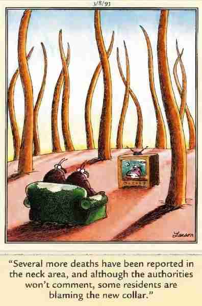 10 лучших комиксов The Far Side с участием Насекомые, ранжированные