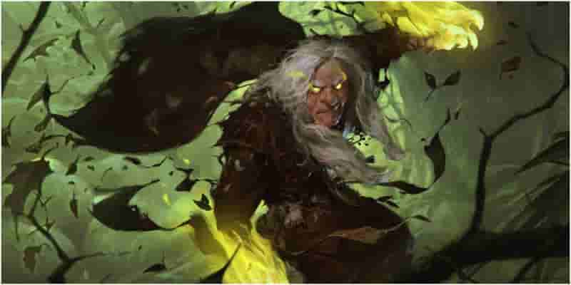 Каждый D&D 5e 2014 Разбойник Мультикласс, Ранговый