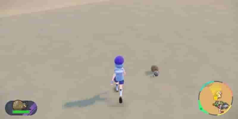 Pokemon Scarlet & Violet: Как превратить Реллора в Рабску