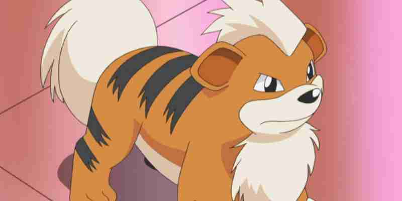 10 Best Fire Pok & eacut = 